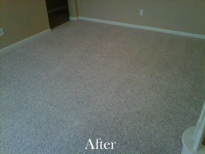 Carpet Cleaning After