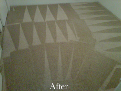 Cleaned Carpet with Pattern