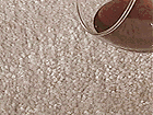 Treated Carpet Animation