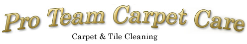 Pro Team Carpet Care, Logo